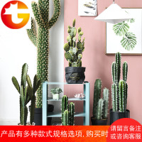 北欧墨西哥仙人柱高仿真仙人掌热带植物客厅仿真植物大型盆栽盆景