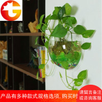 创意墙面花盆挂件 客厅墙上立体壁饰壁挂鱼缸墙壁装饰品墙饰挂饰