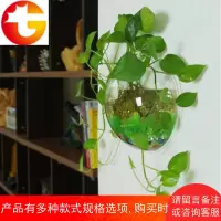 创意墙面花盆挂件 客厅墙上立体壁饰壁挂鱼缸墙壁装饰品墙饰挂饰