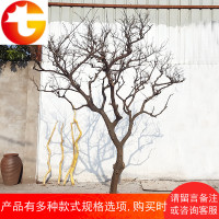 干树枝干枝树干本色许愿摆件枯树杆室内天然造型树假树仿真装饰树