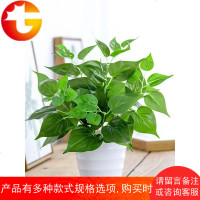 仿真绿萝盆栽室内仿真植物塑料小盆栽装饰绿植仿真花草假植物绿萝