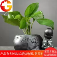 创意绿萝水培花瓶容器鲜花植物插花水养花盆器皿客厅装饰品小摆件
