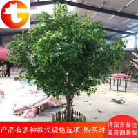 仿真树仿真植物大型榕树许愿树大厅商场酒店摆放树实木金榕树