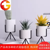 北欧仿真植物盆栽装饰小摆件ins客厅桌面多肉绿植仙人掌假花盆景