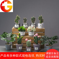 北欧客厅室内创意水泥盆仿真绿植物装饰仙人掌仙人柱盆景盆栽摆设