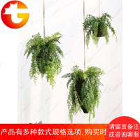 北欧室内装饰吊饰仿真绿植物空中挂饰家居花艺壁挂装饰
