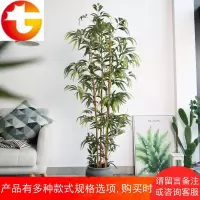 罗曼妈妈 寓意假盆景仿真竹子植物盆栽室内外落地大绿植装饰