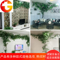 藤假树绿叶榕树叶藤条藤蔓室内管道客厅墙面大型绿植物装饰