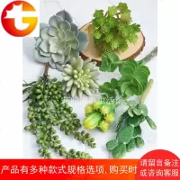 仿真多肉植物懒人套餐 绿色植物墙仿真花假花家居客厅装饰品摆件