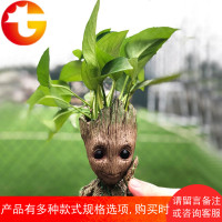 仿真植物盆栽摆件绿植装饰北欧风仙人掌网红假花多肉客厅室内盆景