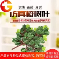 塑料榕树枝园林装饰叶片绿植植物树叶田园客厅假树叶