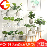 ins仿真植物盆栽桌面摆件创意室内餐厅办公室装饰绿植物盆景摆设