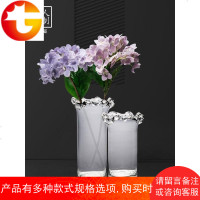 欧式装饰玻璃透明花瓶摆件客厅电视柜干花插花装饰小花瓶