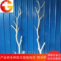 干树枝原木去皮枯树干衣架艺术造型干枝摆设创意家居摆件装饰树杆
