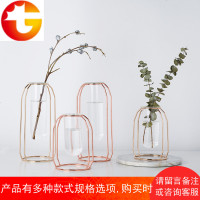 北欧简约风镀金色铁艺玻璃花瓶创意试管式插花器 台面现代摆饰品
