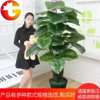 仿真植物盆栽大滴水观音假树仿真树客厅落地花假花假龟背室内装饰