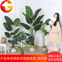 北欧大型旅人蕉仿真植物树落地天堂鸟盆景装饰室内假绿植龟背盆栽