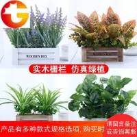 仿真绿植假盆栽绿萝客厅餐桌窗台套装饰塑料假花栅栏植物摆设件