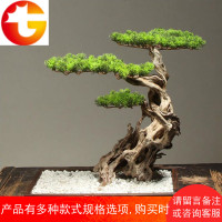 日式庭院禅意仿真崖柏松树工艺盆栽盆景中式酒店大堂装饰植物摆件