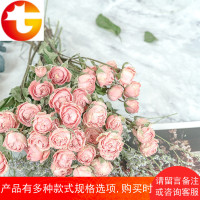 浪漫泡泡天然浅粉玫瑰少女心干花花束蔷薇花小清新ins风家居摆件
