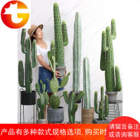 ins北欧风假仙人掌仿真植物盆景大型仙人柱绿植客厅室内落地装饰