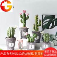 创意北欧风氧气水泥盆仿真植物多肉仙人掌桌面装饰盆栽仙人球盆景