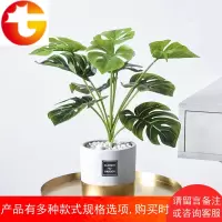 北欧ins创意仿真植物装饰小盆栽客厅摆件家居摆设室内绿植假盆景