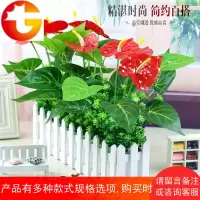 仿真假绿植物假花摆件室内外装饰栅栏假红掌盆栽仿真花草植物套装