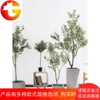 仿真绿植橄榄树大型植物树盆栽盆景油橄榄落地橱窗装饰摆件