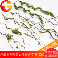 仿真绿植墙植物弯曲造型背景墙造景装饰苔藓枯树藤青苔树枝