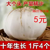 [十年生长]陇卉甘肃兰州新鲜百合500g<2袋4个果>现挖新货天然新鲜百合蔬菜