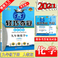 2021春 轻巧夺冠1+1 优化训练 初中 9九年级下 化学 人教版