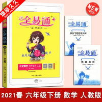 2021春 全易通艾派 小学六年级下册 数学 人教版RJ