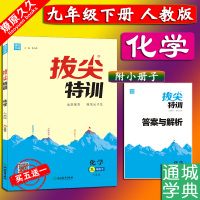 2021版春季通城学典 拔尖特训 初三9九年级下册 化学 人教版RJ 下学期同步教材练习训练册课时拔尖分层递进解析详尽练