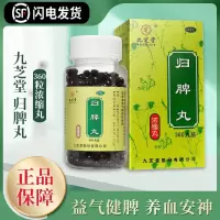 九芝堂归脾丸360丸益气健脾养血安神心脾两虚气短心悸失眠多梦头晕肢倦乏力食欲不振