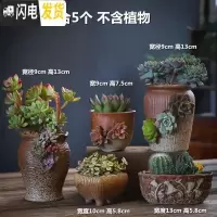 三维工匠多肉花盆组合套装创意个性粗陶透气肉肉植物老桩大小花盆花盆容器