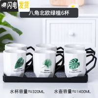 三维工匠简约陶瓷杯具套装家用水壶咖啡杯水具杯子茶具可高温欧式水杯套装 钻纹六大杯-大杯绿植黑密胺盘