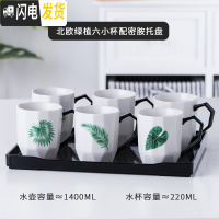 三维工匠简约陶瓷杯具套装家用水壶咖啡杯水具杯子茶具可高温欧式水杯套装 钻纹六小杯-小杯绿植黑密胺盘