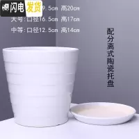 三维工匠陶瓷花盆带托盘批发特大号创意室内阳台多肉吊兰绿萝花盆 903-D8白色(配陶瓷托盘) 中等花盆容器