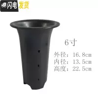 三维工匠兰花盆 塑料 花盆 凹底透气盆大号小号中号带孔高绿兰花盆 6寸9孔(5个) 中等花盆容器