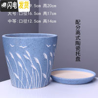 三维工匠陶瓷花盆带托盘批发特大号创意室内阳台多肉吊兰绿萝花盆 903-D3兰苇(配陶瓷托盘) 大花盆容器