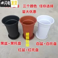 三维工匠塑料花盘 兰花专用花盆 塑料兰花盆 塑料花盆 高级兰花盆 黑色[大号口径18高25]不带托盘 兰花盆[3花盆容器