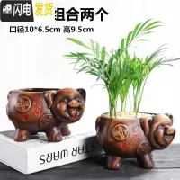 三维工匠花盆陶瓷大号创意个性绿萝肉肉简约吊兰家用小多肉花盆载 猪组合两个 中等花盆容器
