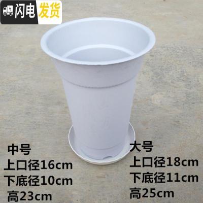 三维工匠塑料花盘 兰花专用花盆 塑料兰花盆 塑料花盆 高级兰花 红色[大号口径18高25cm]带托盘 兰花盆[3花盆容器