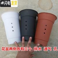 三维工匠塑料花盘 兰花专用花盆 塑料兰花盆 塑料花盆 白色[大号口径18高25]不带托盘 兰花盆[5个花盆,实发花盆容器