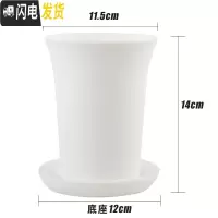 三维工匠船长多肉花盆玉露万象盆塑料小花盆特大加厚肉肉家用 白色4号(11.5×14cm)+底座8套 均码花盆容器