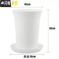 三维工匠船长多肉花盆玉露万象盆塑料小花盆特大加厚肉肉家用 白色6号(16×18cm)+底座4套 均码花盆容器