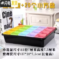 三维工匠小黑方小方大黑方大彩方多肉植物塑料花盆叶插育苗配搭托盘 镂空整理盆+20个7方盆 单独盆不含底托花盆容器