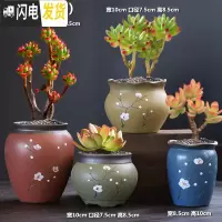 三维工匠多肉花盆组合套装创意个性粗陶透气肉肉植物老桩大小花盆 DL手造-17组合4个 中等花盆容器
