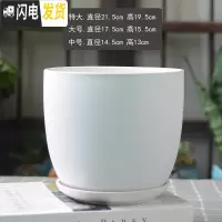 三维工匠白色简约花盆陶瓷大号特大号带托盘吊兰绿萝多肉花盆 梯形哑光白 中等花盆容器